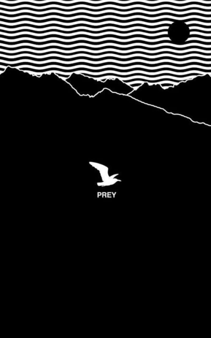 prey, album, band, indie, jesse rutherford, nb, the neighbourhood, wiped out, HD phone wallpaper