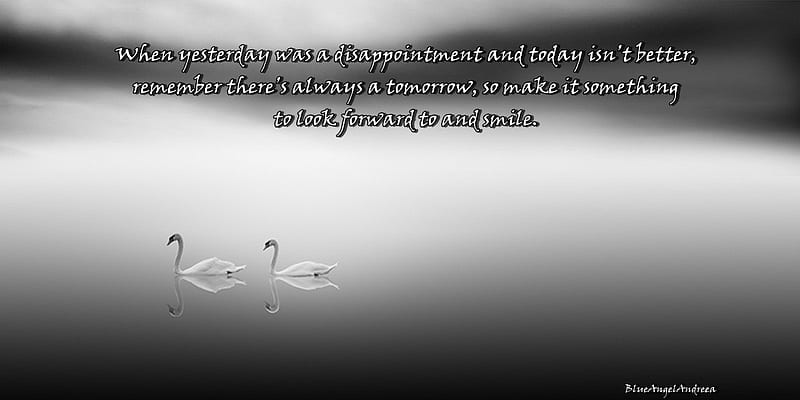 Remember there`s always a Tomorrow, words, remember, tomorrow, swans, HD wallpaper