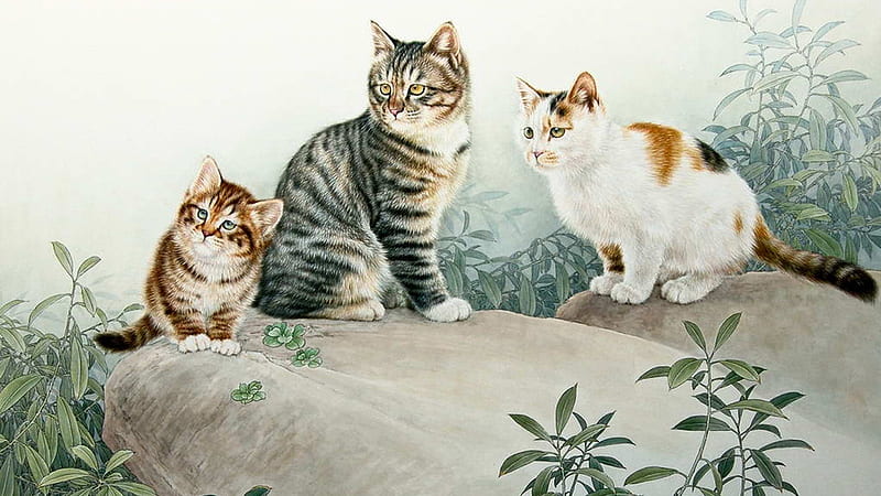 Three Cinese Cats, Firefox theme, felines, rock, kittens, foliage, leaves, painting, flowers, cats, HD wallpaper