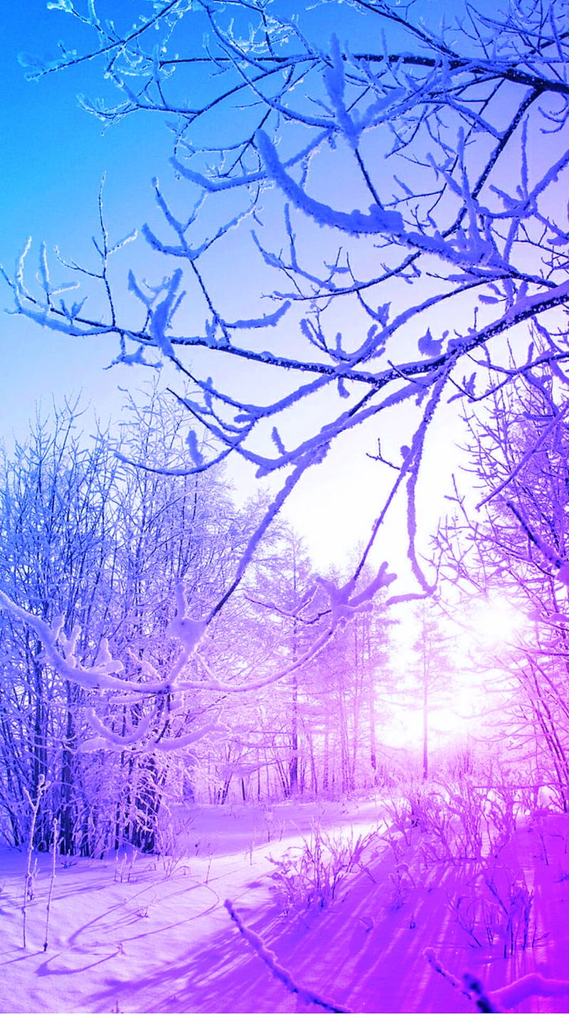 Colorful snow day, edge, lilac, HD phone wallpaper