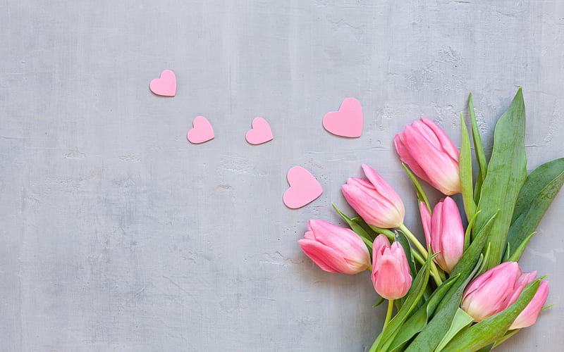 pink tulips, beautiful flowers, pink hearts, romantic background, March 8, spring flowers, tulips, HD wallpaper