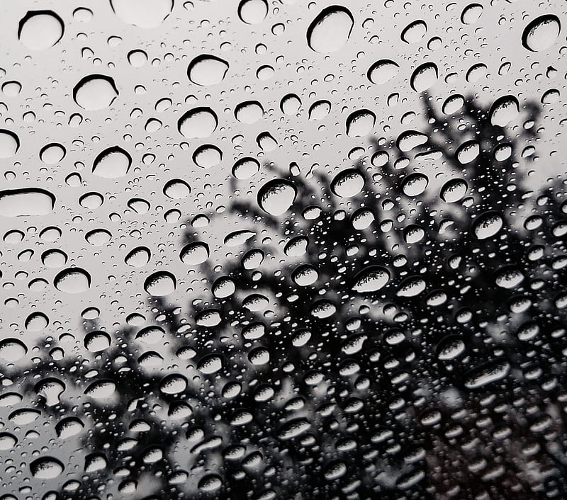 Raindrop and Shadow, black and white, contrast, dark, rain, raindrops, water, HD wallpaper