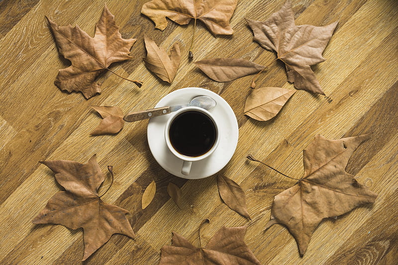 Food, Coffee, Cup, Drink, Still Life, HD wallpaper