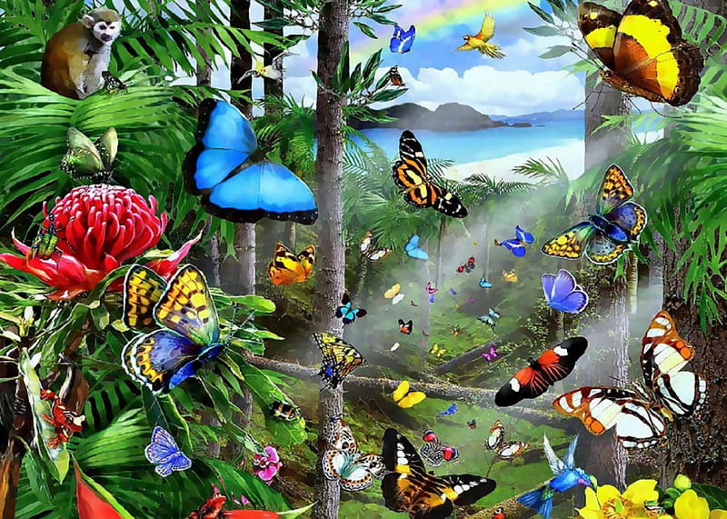 ★Tropical Butterflies★, softness beauty, attractions in dreams, bonito, digital art, seasons, tropicals, rainbows, monkey, paintings, flowers, forests, drawings, butterfly designs, insects, animals, lovely, colors, love four seasons, birds, creative pre-made, butterflies, trees, summer, wildlife, outdoor, HD wallpaper