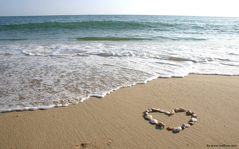 Love on the beach-surrounded by heart-shaped shell, HD wallpaper