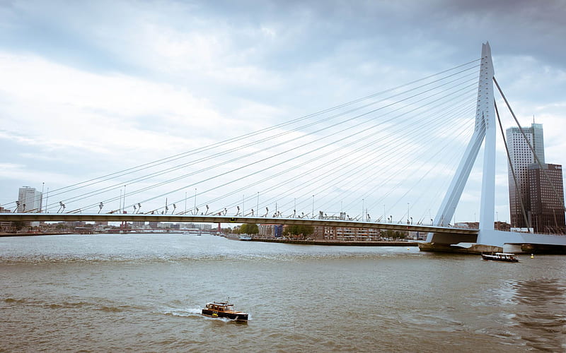 erasmus bridge rotterdam-Netherlands Landscape, HD wallpaper