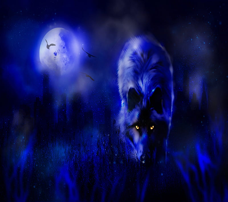 Wolf, HD wallpaper