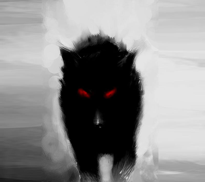 Black Wolf, clem krym, HD wallpaper