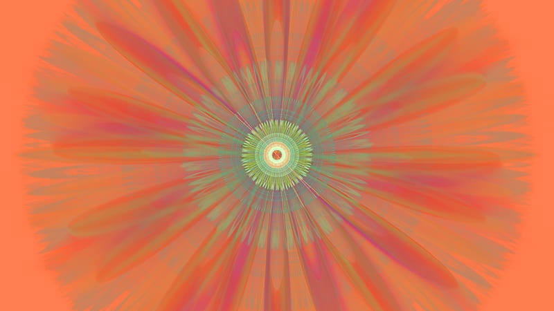 Dandelion Fractal Radial , dandelion, radial fractal, HD wallpaper