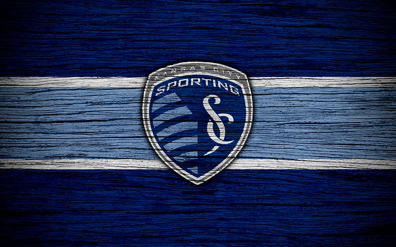 Sporting Kansas City MLS, wooden texture, Western Conference, football club, USA, Sporting Kansas City FC, soccer, logo, FC Sporting Kansas City, HD wallpaper