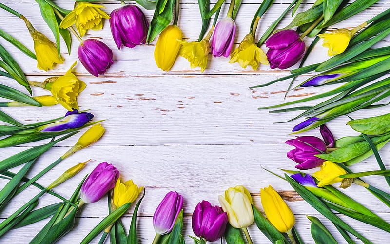 colorful tulips frame floral concepts, floral frames, gray wooden backgrounds, colorful tulips, HD wallpaper
