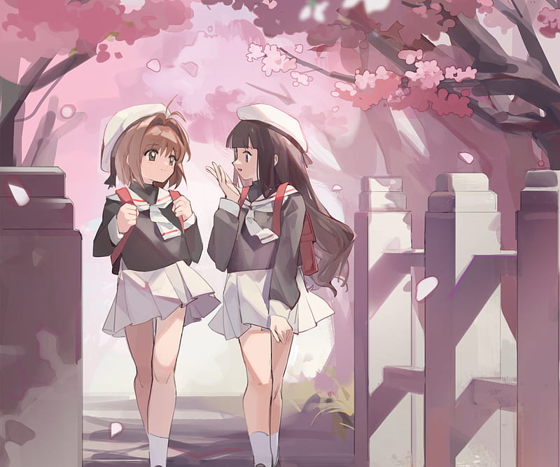 Anime, Cardcaptor Sakura, Sakura Kinomoto , Tomoyo Daidouji, HD wallpaper