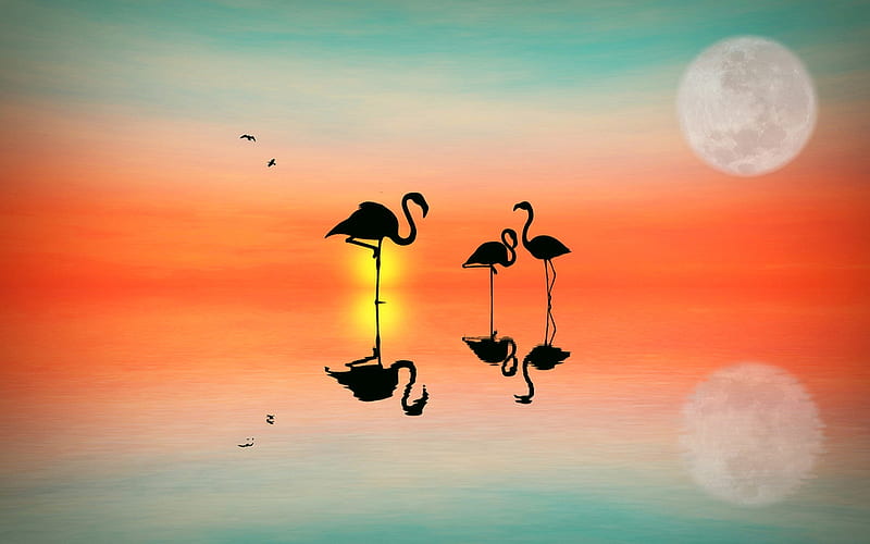 flamingo silhouettes, morning, sea, abstract landscapes, birds, flamingo, HD wallpaper