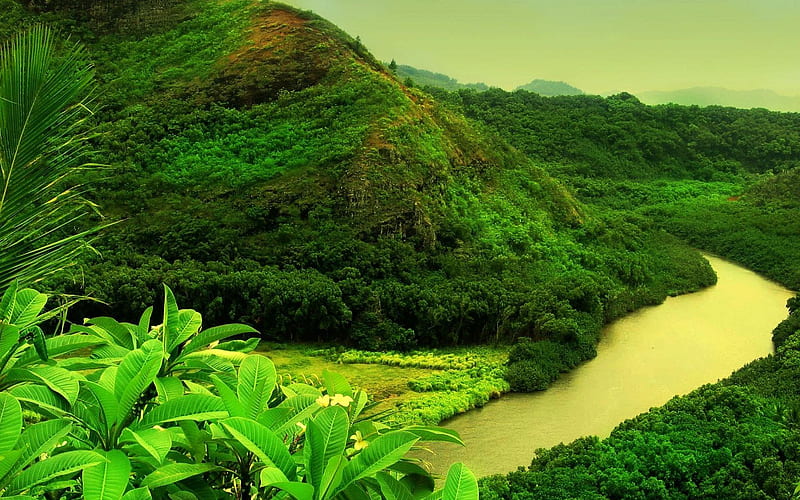nature , vegetation, natural landscape, nature, green, nature reserve, Beautiful Green Nature, HD wallpaper