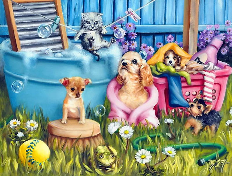 Funny moment, pretty, grass, game, bath, bonito, ball, nice, moment, puppies, painting, bubbles, flowers, duckling, friends, animals, playing, art, lovely, kitty, kittens, fun, joy, pool, yard, summer, funny, cats, HD wallpaper