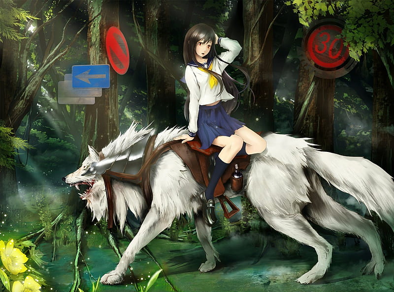The WOlf, red, pretty, grass, yellow, bonito, woman, animal, green, anime, beast, flowers, beauty, blue, art, shirt, forest, female, lovely, skirt, trees, cute, girl, signs, nature, wolf, white, HD wallpaper