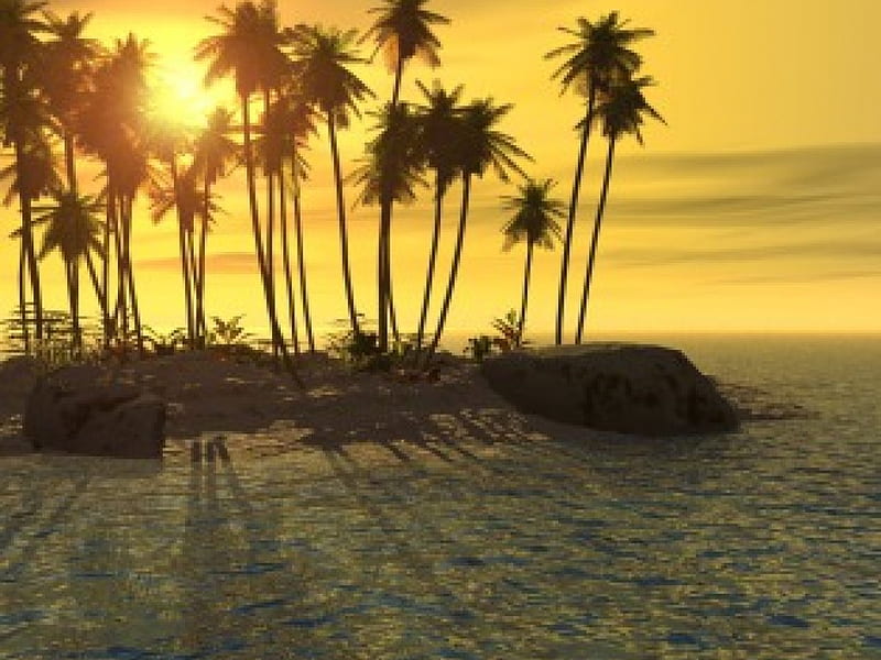 Palms, 3d, HD wallpaper | Peakpx