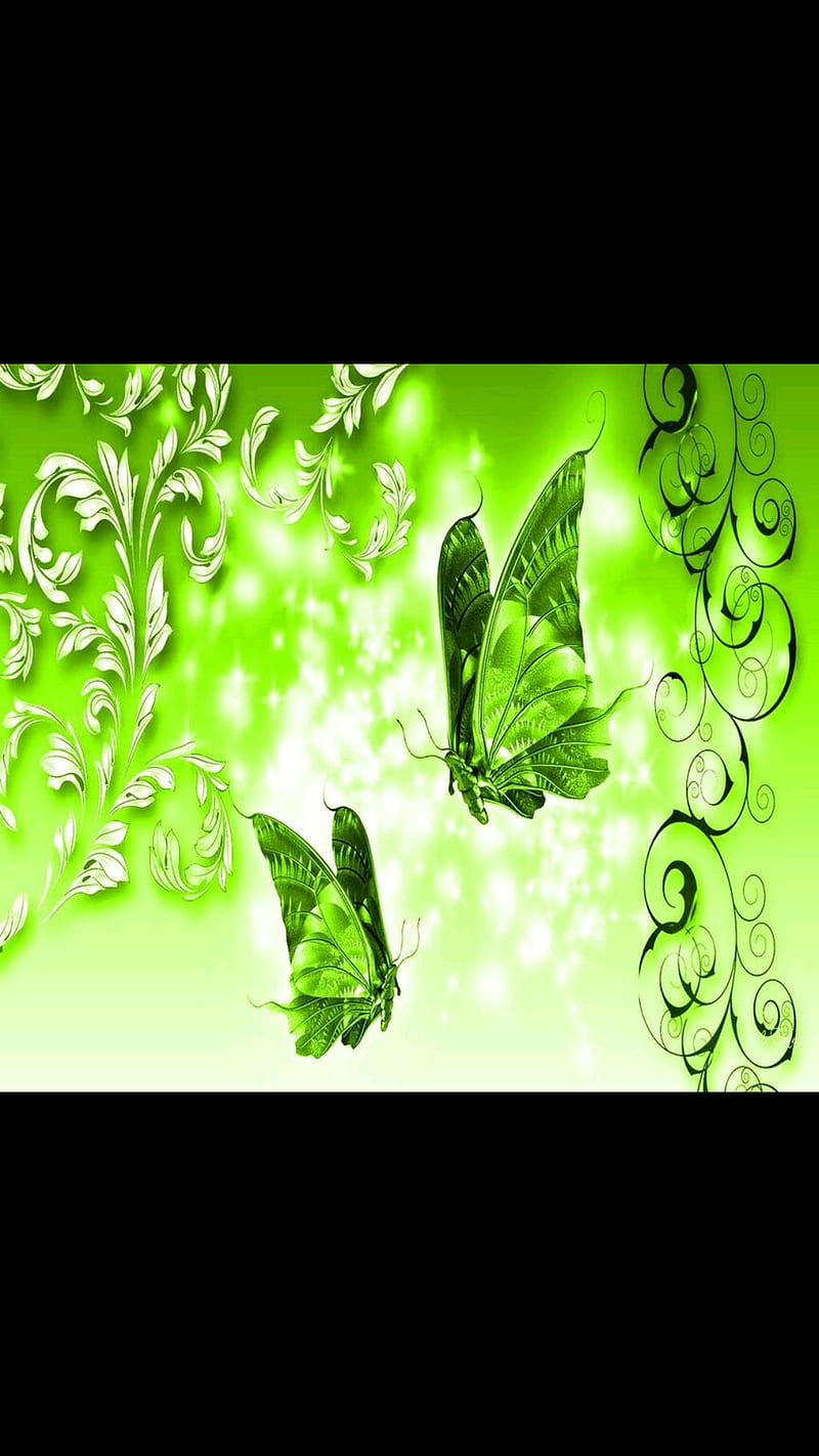 Butterfly, lime green, HD mobile wallpaper Peakpx