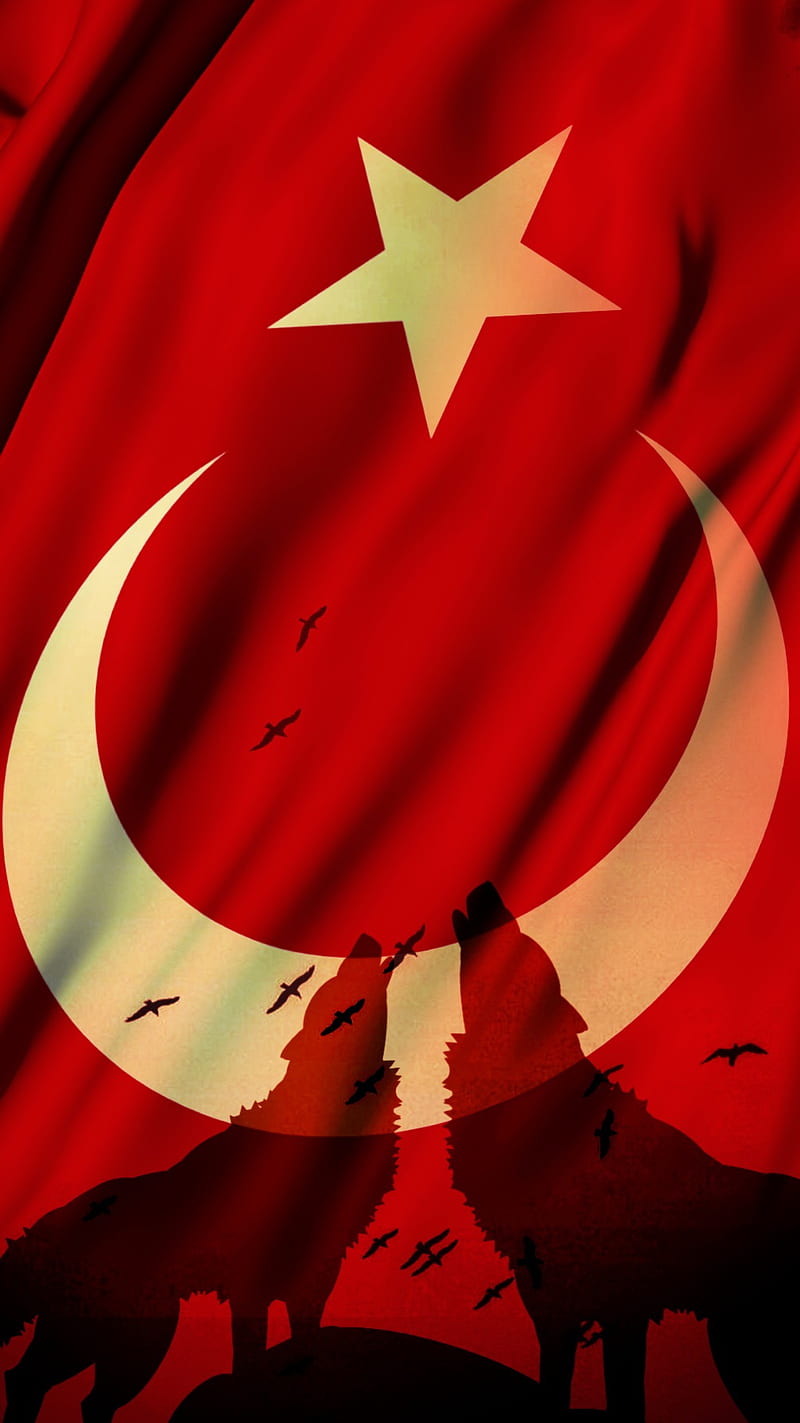Turkiye, flag, kurt, turk, turkhis, vatan, wolf, HD phone wallpaper