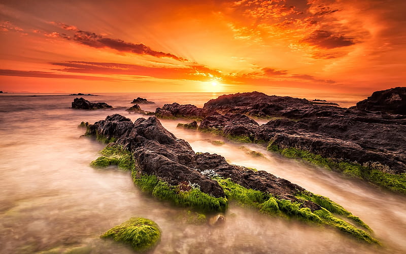 Sea beach sunrise turrican-2016 High Quality, HD wallpaper