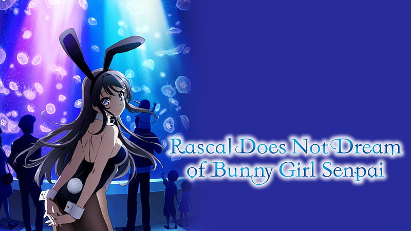 Anime, Rascal Does Not Dream of Bunny Girl Senpai, HD wallpaper