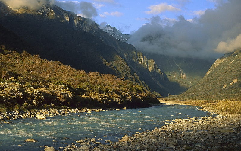 New Zealand-West National Park, HD wallpaper