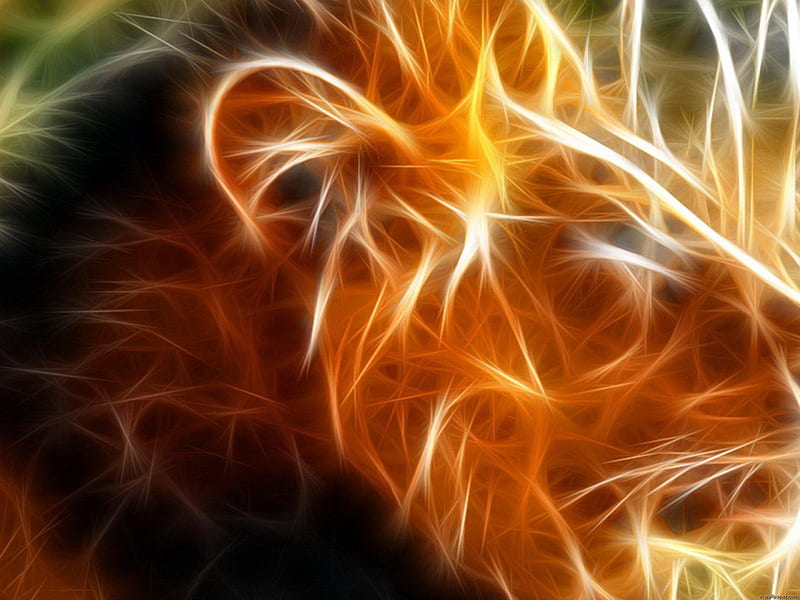 Lion, fire, 3d, digital, abstract, HD wallpaper