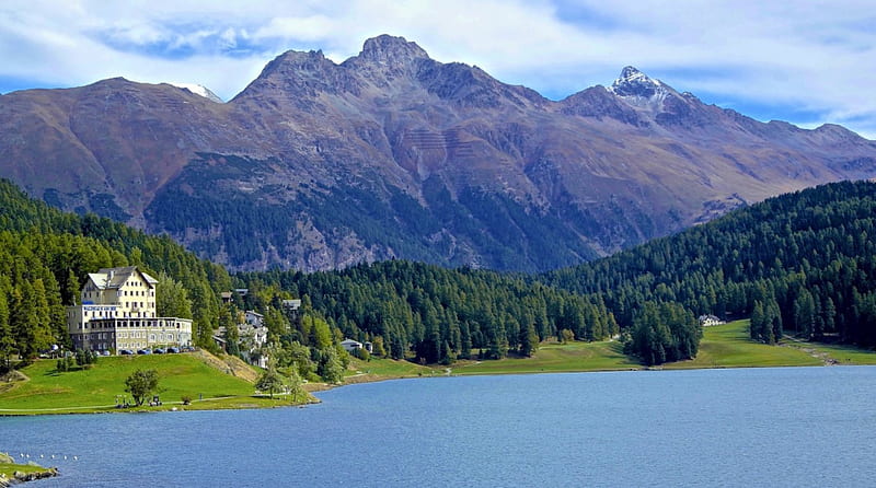 lake in beautiful st. moritz switzerland in summer, mountain, forest, shore, lodge, lake, HD wallpaper