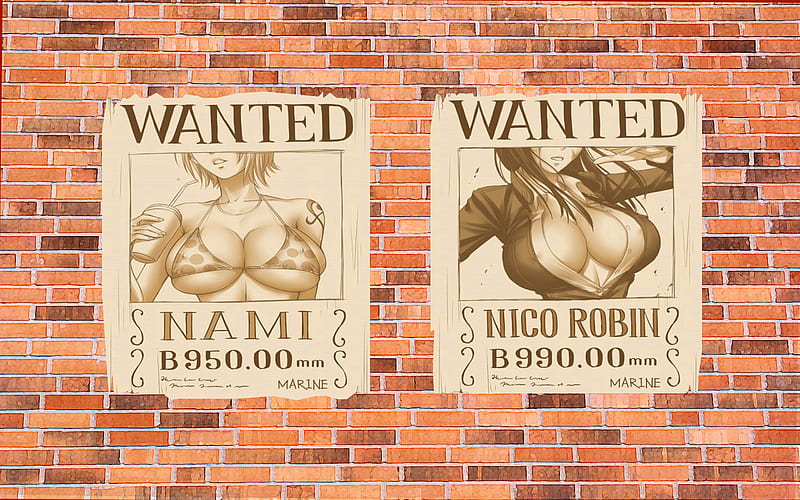 One Piece, want poster, nami, nico robin, sexy, HD wallpaper