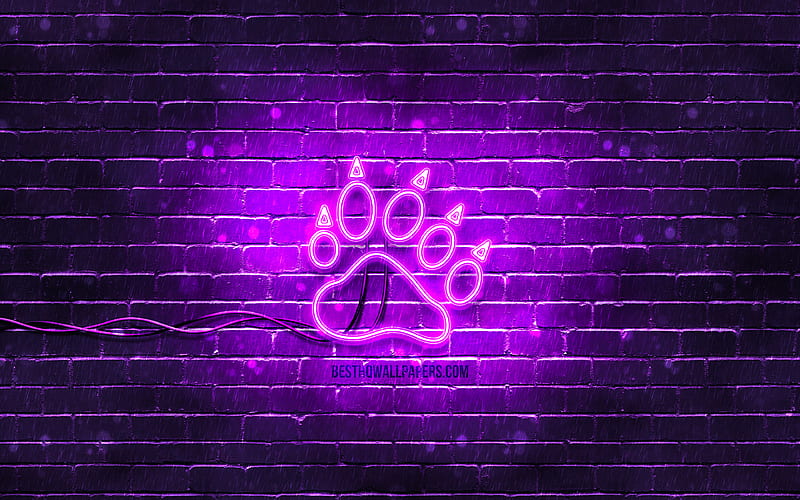 Bear Paw neon icon violet background, neon symbols, Bear Paw, creative, neon icons, Bear Paw sign, animals signs, Bear Paw icon, animals icons, HD wallpaper