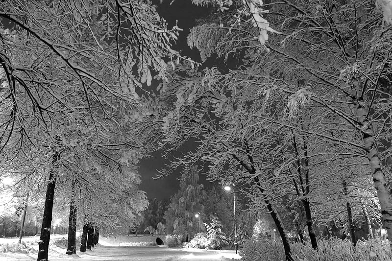 Winter, morning, snow, finland, HD wallpaper