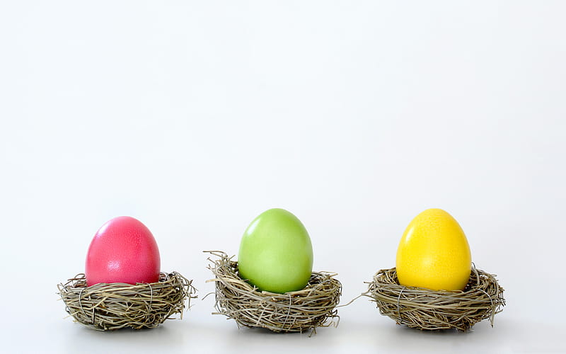 Easter eggs, creative Easter background, eggs in nests, white background, Easter, spring, HD wallpaper