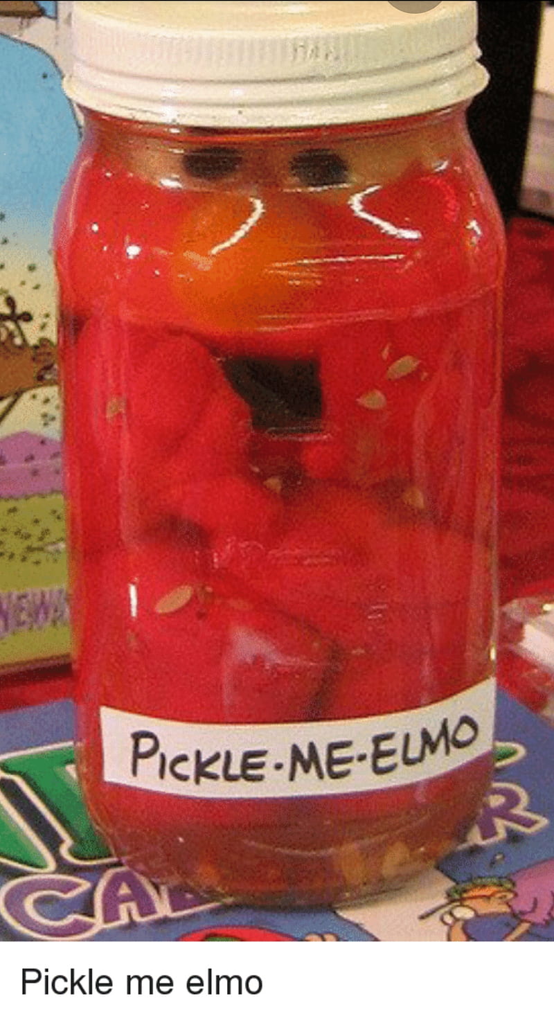 pickle me elmo, meme, HD phone wallpaper