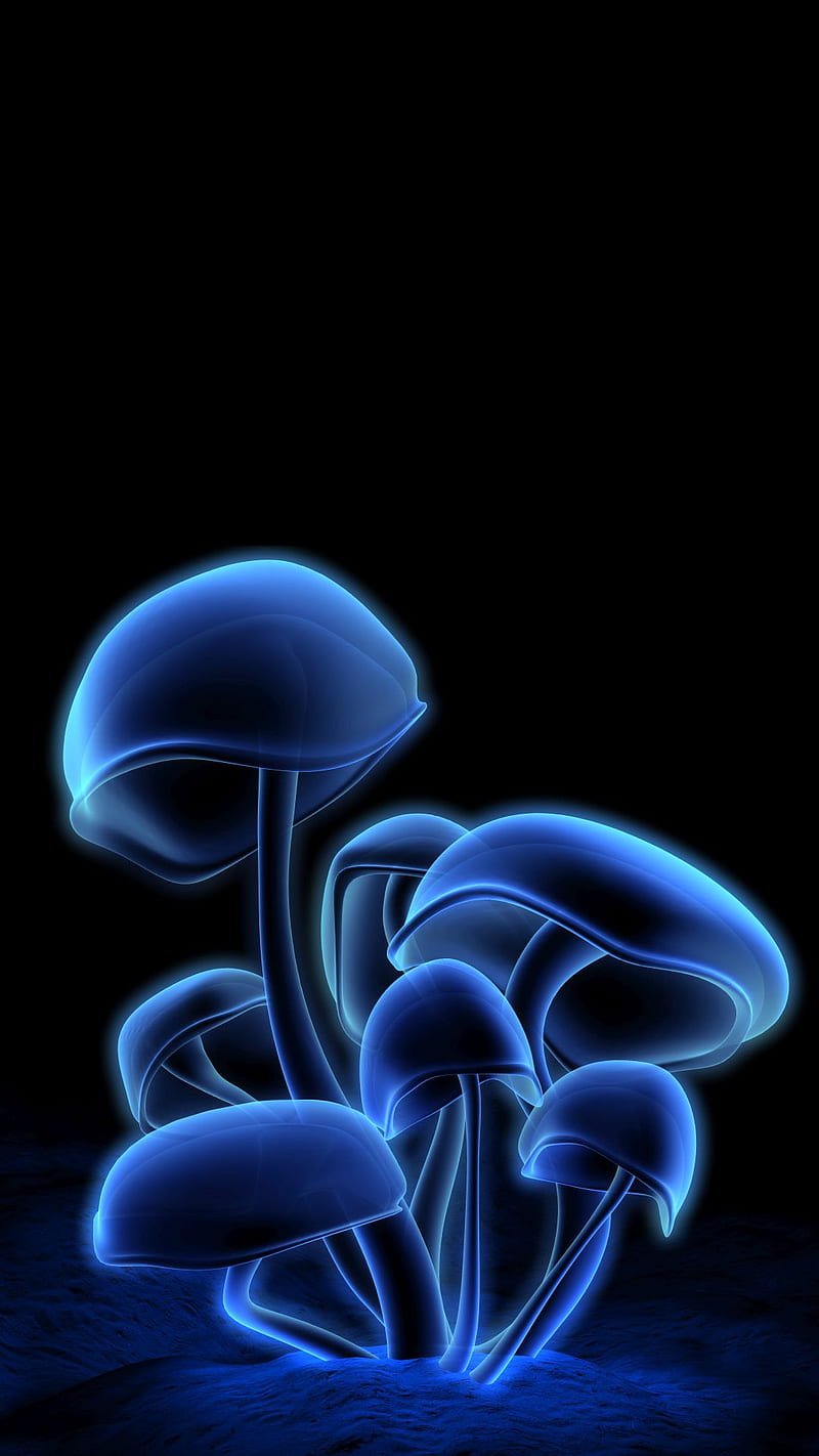 Mushrooms Blue, HD phone wallpaper