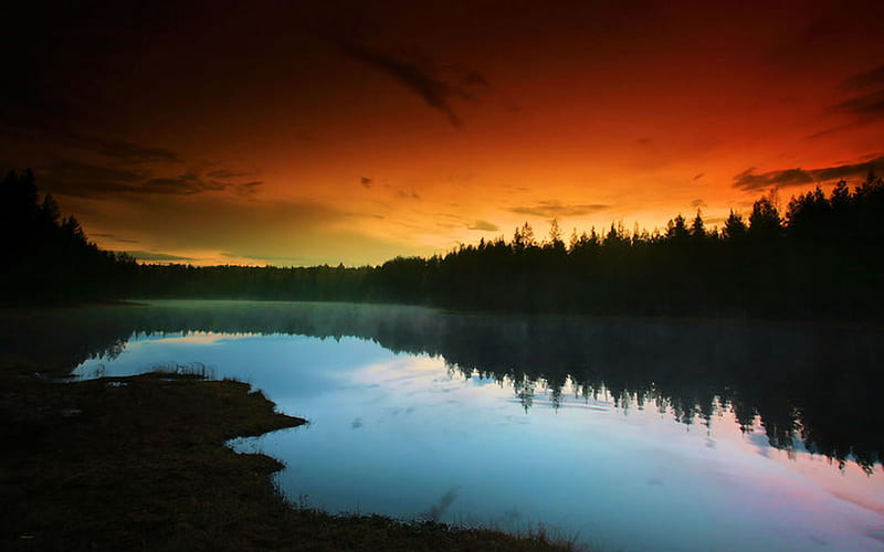 Orange Skies, forest, orange, bonito, sunset, trees, sky, lake, skies ...