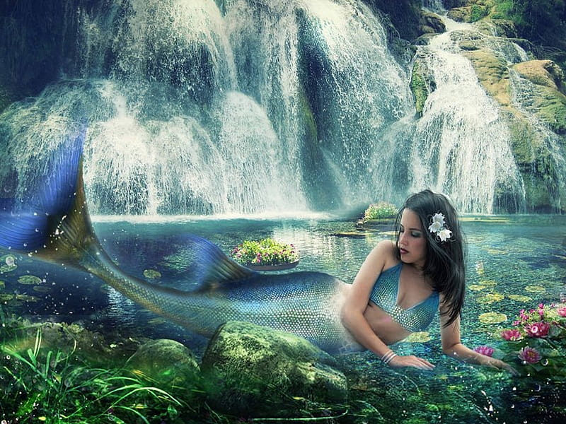 Eden mermaid, mermaid, water, fantasy, fish, HD wallpaper | Peakpx