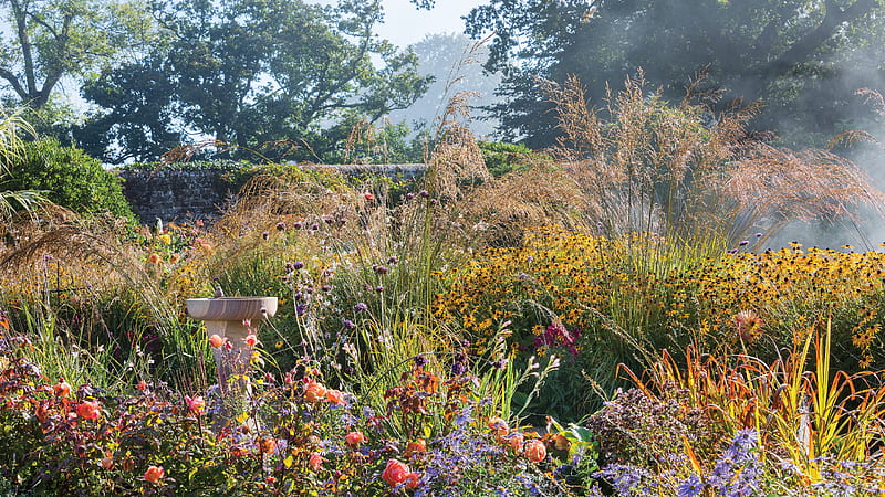 Walk Through This Sprawling English Garden, English Flower Garden, HD ...