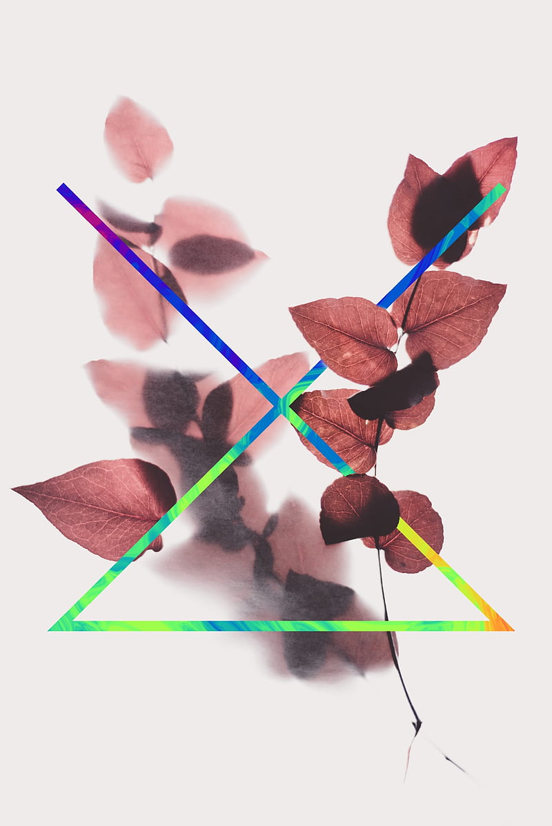 Shapical leaf, flower, leaves, forma, triangle, colourful, minimalist, minimal, color, designs, HD phone wallpaper