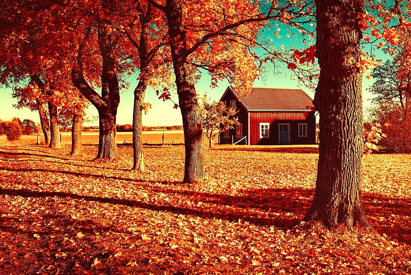 Autumn day, fall, autumn, house, lovely, bonito, trees, foliage,  countryside, HD wallpaper | Peakpx