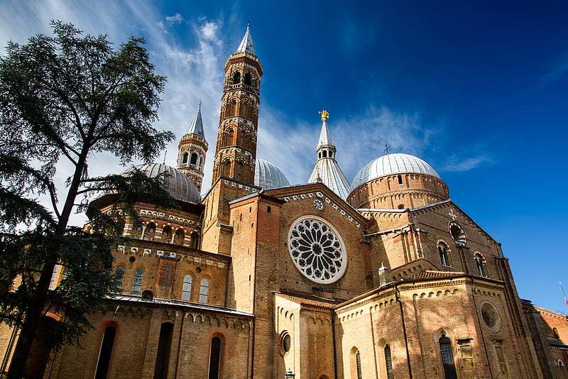 Cathedrals, Cathedral, Italy, Padua, St. Anthony's Cathedral, HD wallpaper
