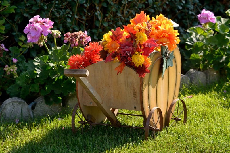 Festive Scene, harvest, autumn decor, wagon, flower wagon, festive harvest, HD wallpaper
