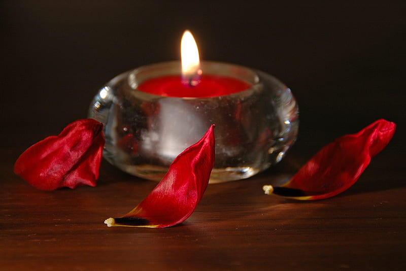 Still life red, candle lovely, abstract, fire, graphy, petals, popular, tulip, light, HD wallpaper