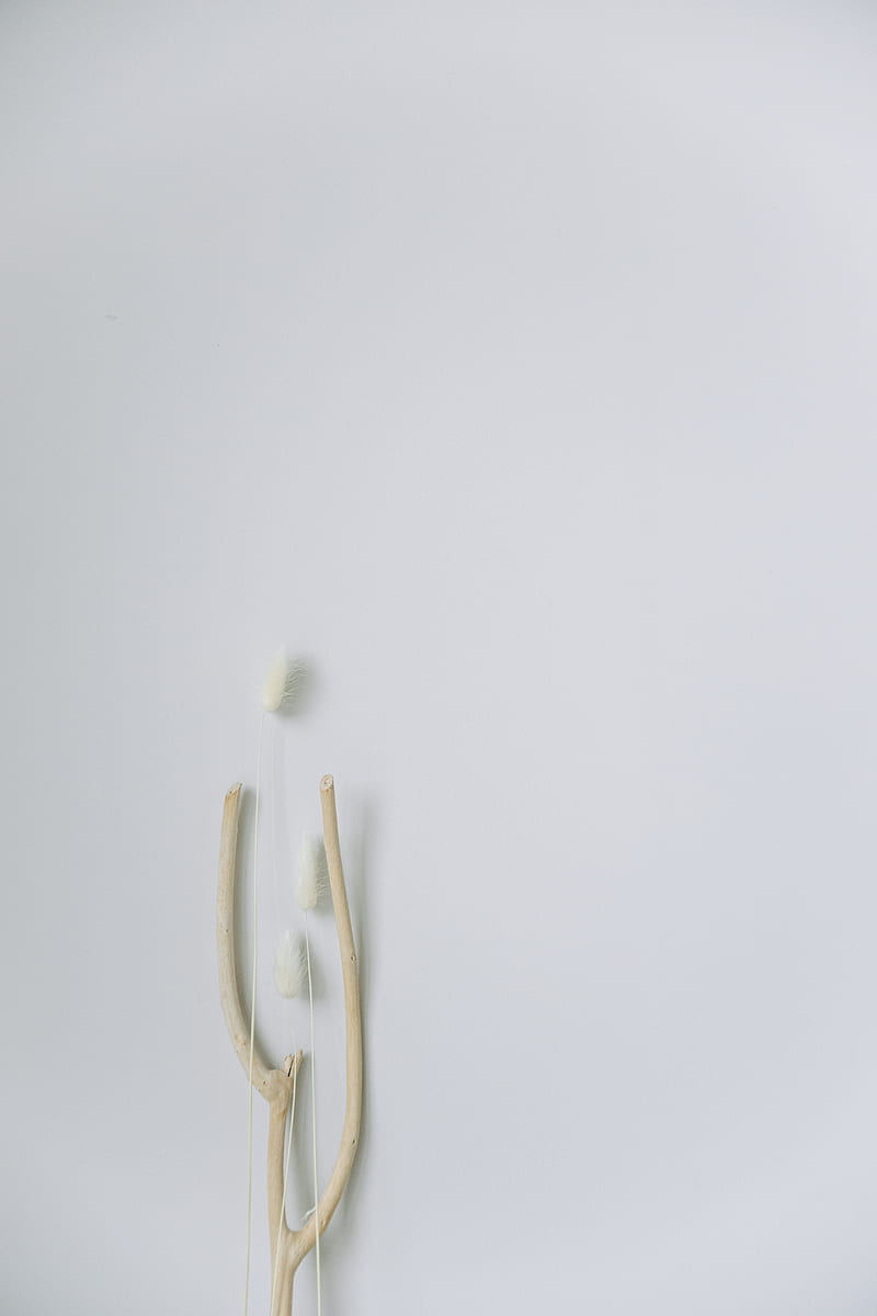 White Plastic Clothes Hanger on White Surface, HD phone wallpaper