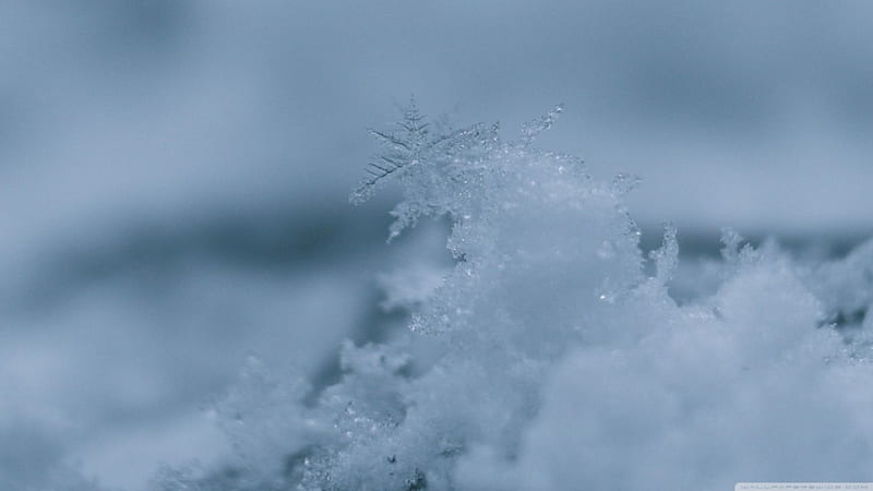 Snowflake macro, abstract, snowflake, graphy, snow, macro, ice, nature, crystal, HD wallpaper