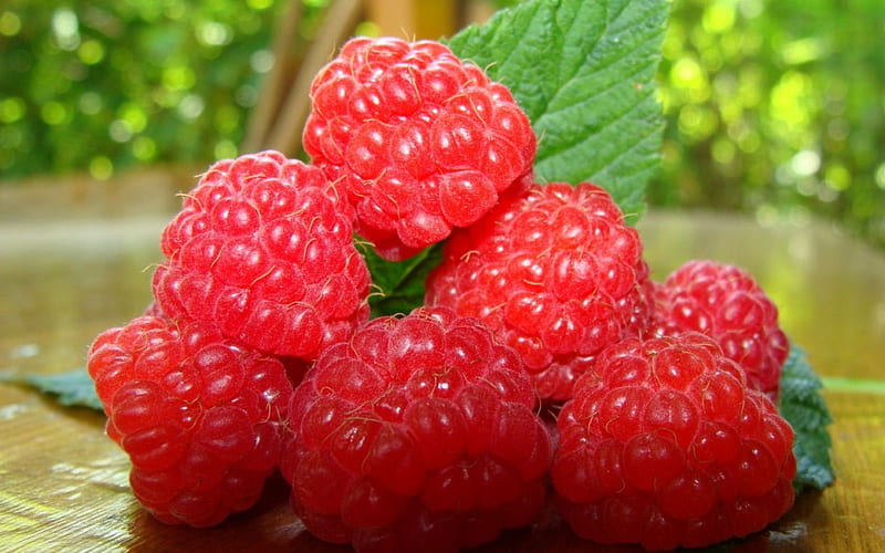 Raspberries, fruit, red, raspberry, green, HD wallpaper