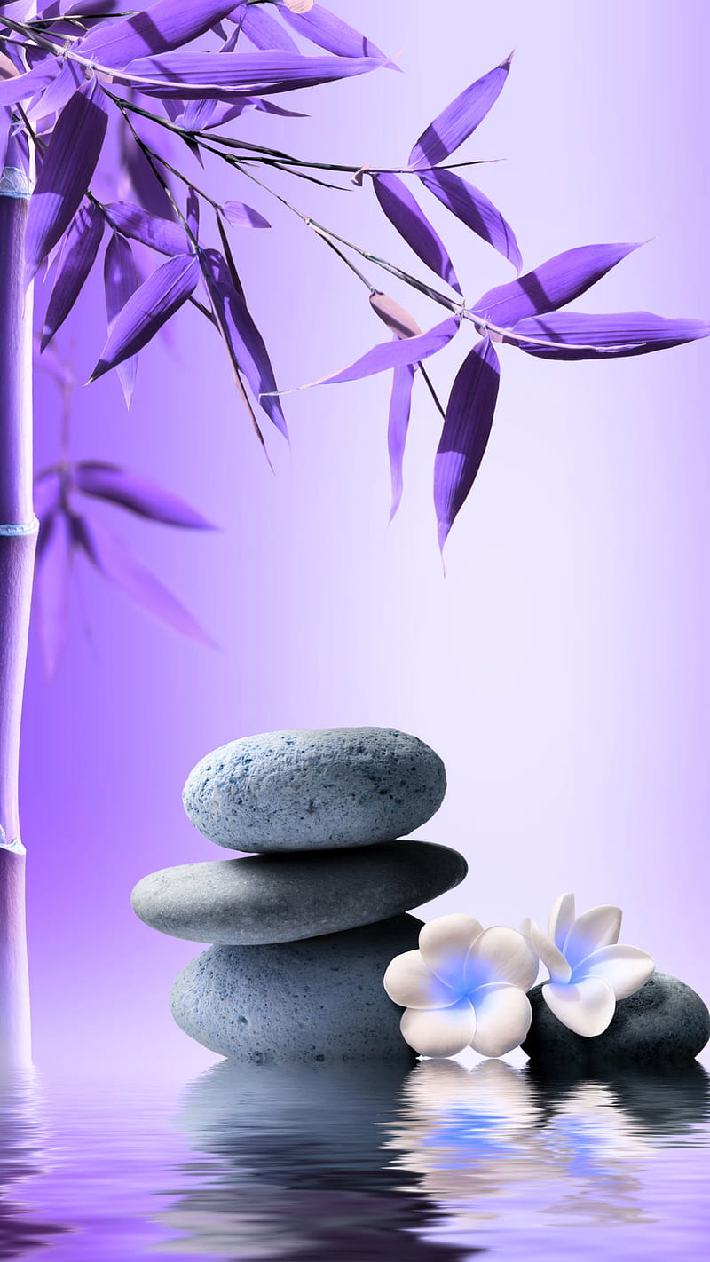 Zen balance bamboo stone water HD phone wallpaper  Peakpx