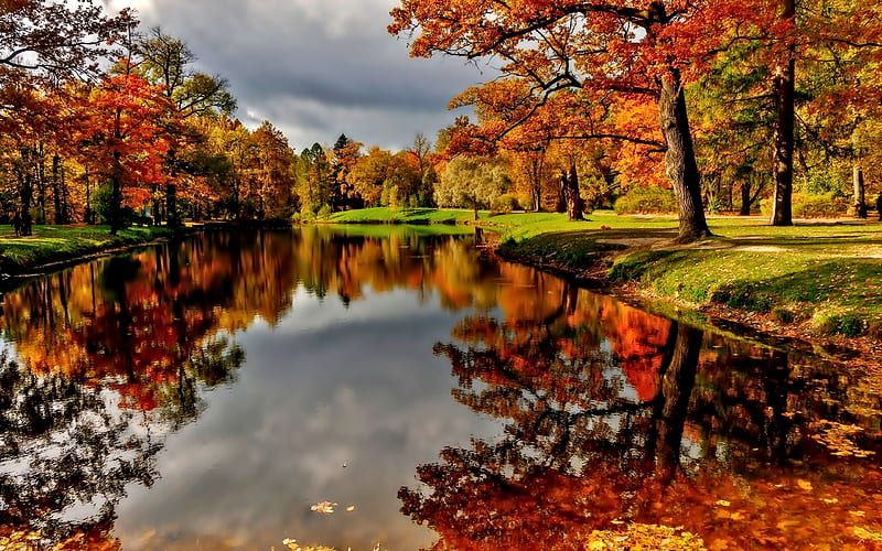 Autumn Pond, Tree, Pond, Autumn, Nature, HD wallpaper | Peakpx