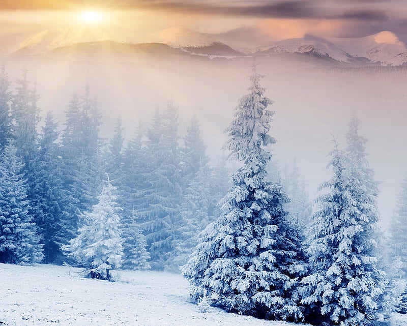 Winter Landscape, ze, snow, sunrise, trees, HD wallpaper
