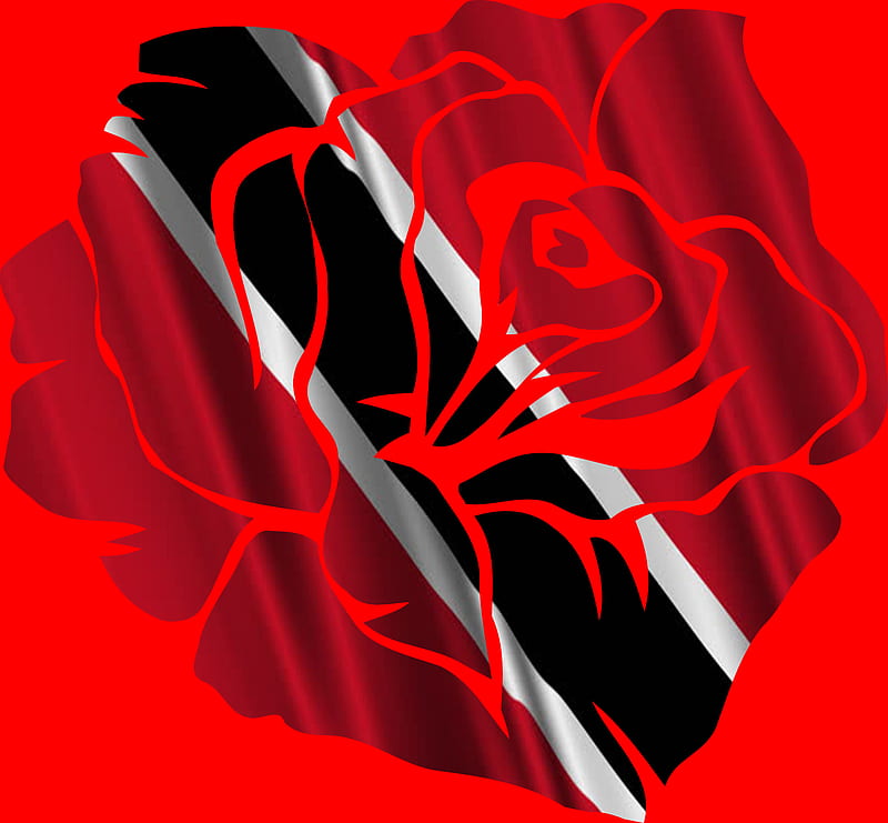 TT Flag Rose, black, flag, red, rose, soca, tnt, tobago, trinidad, tt, white, HD wallpaper