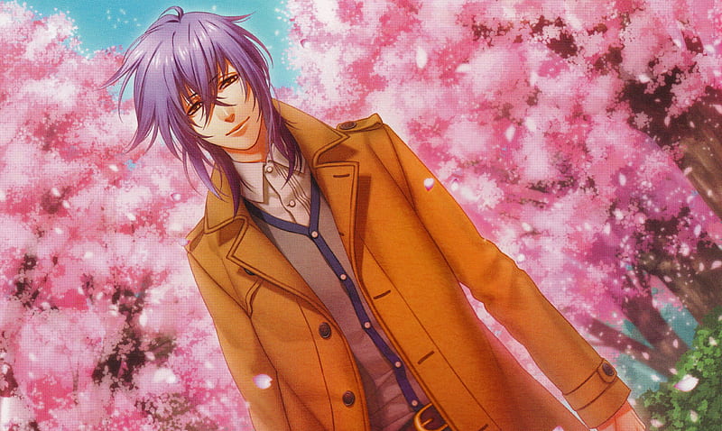 Totsuka Tsukito Sakura Coat Purple Hair Visual Novel Trees Kamigami No Asobi Hd Wallpaper